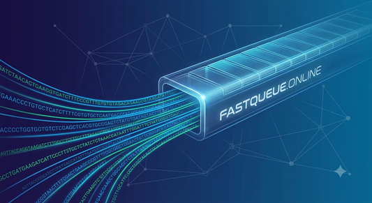 FASTQ to Final Report: The Files of NGS